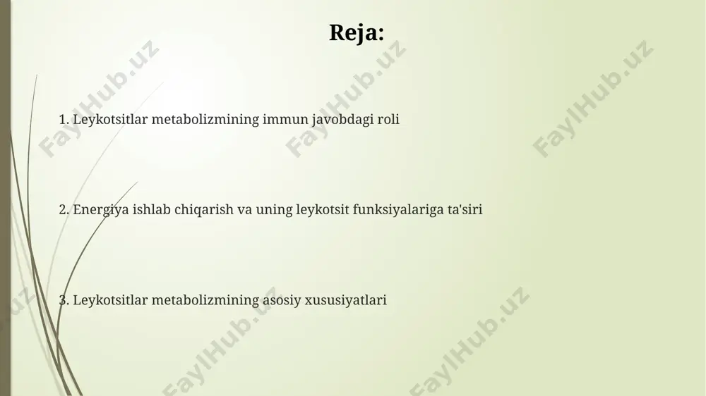 eykotsitlar glikoliz jarayonida glyukoza 2 molekula piruvatga aylanadi, bu jarayon anaerob sharoitda 2 atp molekulasini hosil qiladi va anaerob glikolizning yuqori darajasi kuzatiladi. leykotsitlarning faolligi va funktsiyasi glikoliz va oksidlovchi fosforillanish o'rtasidagi muvozanatga bog'liq bo'lib, bu muvozanatning buzilishi turli patologik holatlarga olib kelishi mumkin. oksidlovchi fosforillanish leykotsitlar uchun energiya manbai hisoblanadi va elektronlarning transport zanjiri orqali o'tishi natijasida 30 dan ortiq atp molekulasi hosil bo'ladi. lipidlardan va aminokislotalardan foydalanish neytrofillar kabi ba'zi leykotsitlar aminokislotalarni glikoliz va sitrat sikliga qo'shib, atp sintezini ta'minlaydi, bu esa ularning faolligi uchun zarurdir. leykotsitlar lipidlarni asosan β-oksidlanish yo'li orqali parchalab, 38 atf molekulasi hosil qiladi, bu ularning energiya ehtiyojini qondirishda muhim rol o'ynaydi. makrofage va monotsitlar kabi leykotsitlar 10 ga yaqin turdagi aminokislotalardan foydalanib, sitokinlar va fermentlar kabi immun javob uchun muhim molekulalarni sintez qiladi. e'tiboringiz uchun rahmat @taqdimot_robot