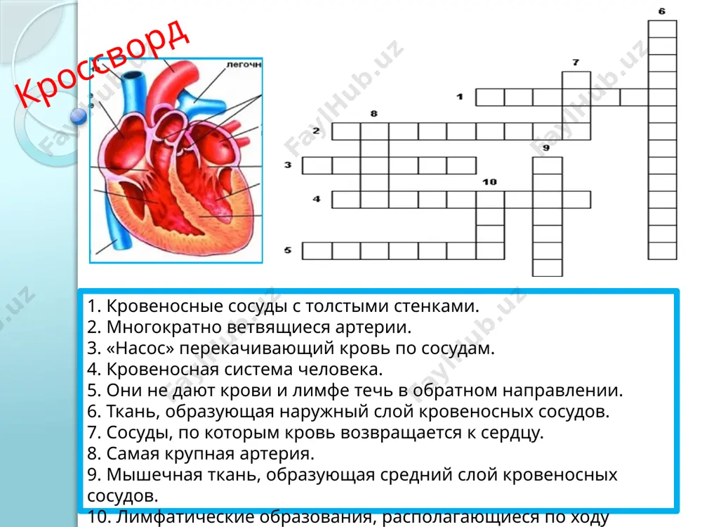 в.п. предмет составные части 1) внутреннее содержимое ядра кариоплазма и сеть тонких нитей 2) ключица тело, два конца 3) скелет предплечья локтевая и лучевая кости 4) таз крестец, тазовые кости практическая часть а. прочитайте слова и запомните принятые сокращения. г - грамм; кг - килограмм; мг -миллиграмм; л - литр; мл - миллилитр; м - метр; мкм - микрометр; мм - миллиметр: см – сантиметр; дм - дециметр; км - километр; мк - микрон; м2 - квадратный метр; м3 - кубический метр б. прочитайте правильно словосочетания. 1 л; 52 мл; 23,2 мл; 44 л; 87,5 л; 98 мл: 0.25 л 31г; 62,5 кг; 43 кг; 90 г; 100 кг; 0,5 кг 1 мкм; 2 мк; 10 мкм; 33 мкм; 24,1 м; 15 дм: 0.35 см; 32м2; 43 см2; 55 км2; 21 м2; 81 м3 ; 92 см3 ; 75 дм3 в. используя таблицу, составьте словосочетания по образцу. образец: отросток длиной …