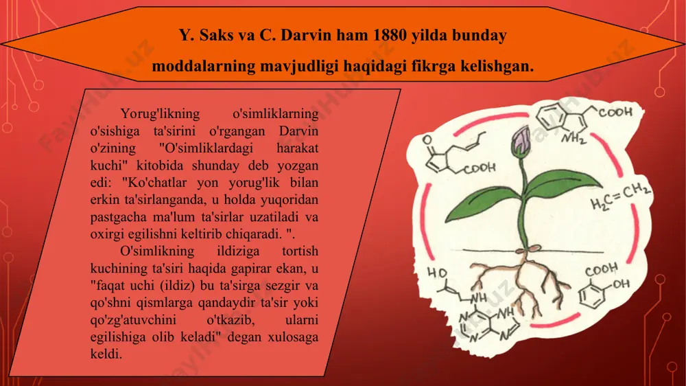 i. gullash gormonlari. florigen va vernalin gullaydigan gormonlar hisoblanadi. maxsus gullash omilining mavjudligi haqidagi taxminni 1937 yilda rus tadqiqotchisi m.chaylakhyan bildirgan. chaylaxyanning keyingi ishlari florigen ikki asosiy komponentdan iborat degan xulosaga keldi: gibberellinlar va antezinlar deb ataladigan boshqa gullash omillari guruhi. o'simliklar gullashi uchun ushbu komponentlarning ikkalasi ham talab qilinadi. etilen - suvda eruvchan gaz, amalda u ko'plab mevalarning pishishini tezlashtirish uchun keng qo'llaniladi (sabzavot etishtirishda, mevalarda) abssizin kislota (asa), fitogormon angiosperm va gimnospermlarda uchraydi. yuqori o'simliklarda aba barcha organlarda uchraydi. uyqusiz holatda aba (o'simlik o'sishi stimulyatori) ga boy bo'lgan eski yaproqlar, etuk mevalar, urug'lar va kurtaklarga, ularning oz qismi faol o'sayotgan to'qimalarda (barglar, ko'chatlar) mavjud
