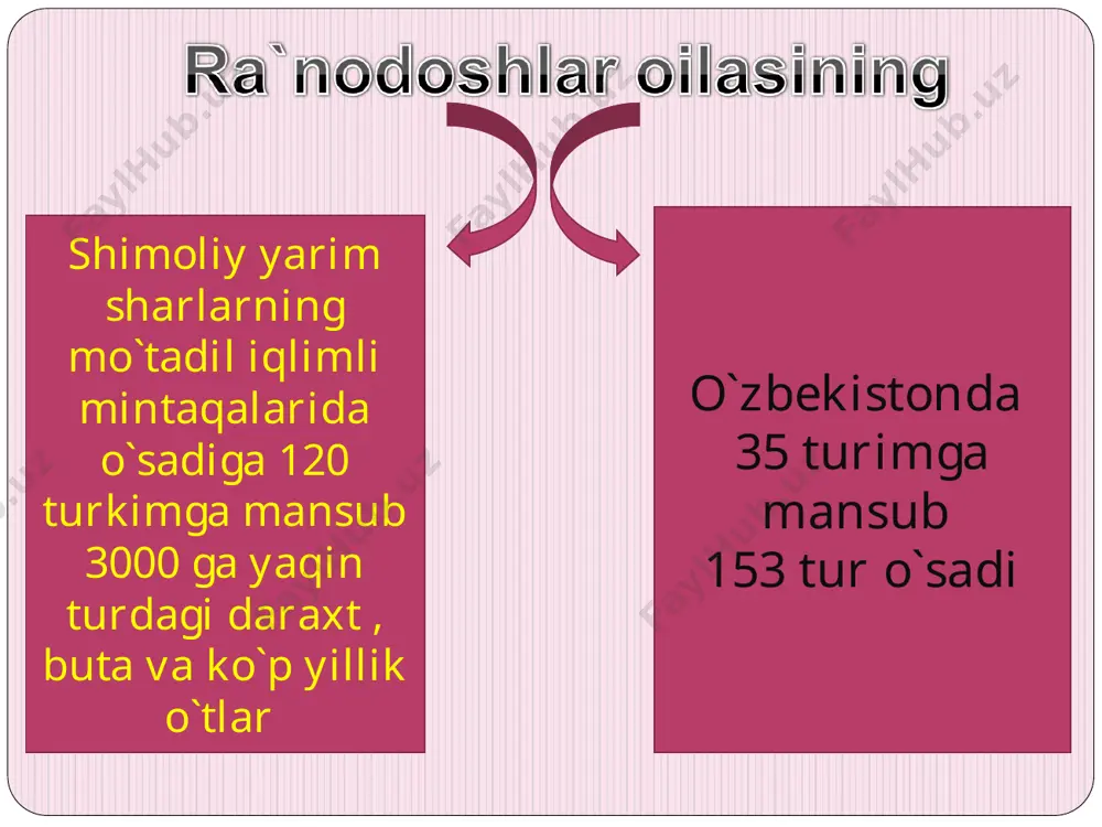 ra’nodoshlar oilasi haqida - Page 3