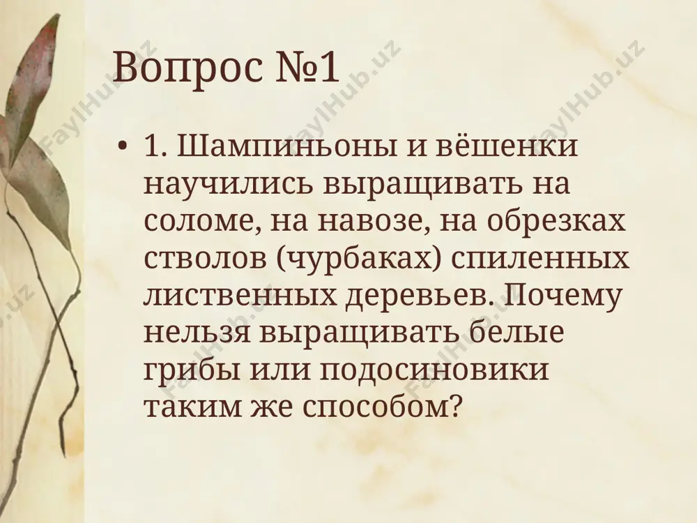 хоуард у. флори эрнст чейн норман у. хитли в ссср первые образцы пенициллина получили в 1942 году микробиологи з. в. ермольева и т. и. балезина. зинаида виссарионовна ермольева активно участвовала в организации промышленного производства пенициллина. созданный ею препарат пенициллин-крустозин ви эм, превосходивший недоступный зарубежный аналог, был получен из штамма грибков penicillium crustosum. он спас жизни многих бойцов советской армии. {f777e268-2c6f-41a9-b4cf-4762a5fedafc}