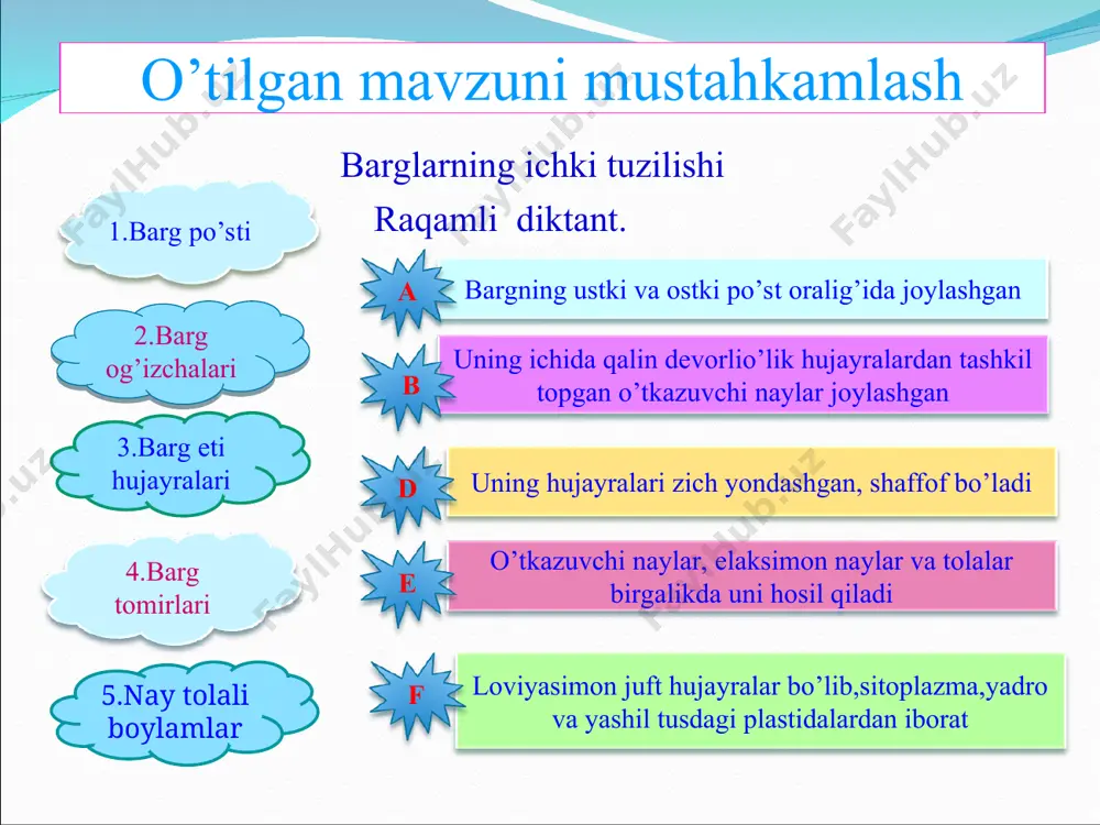 avzuni mustaxkamlash uchun topshiriqlar 1-topshiriq javoblari qamish kartoshka batat topinambur yalpiz g’umay boyche-chak lola anzur piyoz piyozbosh tuganak ildizpoya 2- topshiriq javoblari uchtasi to’g’ri, bittasi noto’g’ri. 1.metmorfozlashgan –tikanga aylangan barglarga misollarni toping a.kaktus b. do’lana d. zirk e.akatsiya 2. tuganakka xos belgilarni aniqlang. a.ko’p miqdorda kraxmal saqlaydi b.ko’zcha (chuqurcha)larida kurtak joylashgan d.seret qobiq(shakli o’zgargan barg), kurtaklar mavjud e.shakli o’zgargan yerosti novda 3.quydagi shakli o’zgargan bargli o’simliklardan bargi etli, zahira moddalar saqlaydiganlarini belgilang a.karam b. piyozbosh d. aloe e. kaktus xulosa piyozbosh, tuganak, ildizpoya yerosti novdalar hisoblanib, ularda huddi novda kabi qo’shimcha ildizlar, shakli o’zgargan barg va kurtaklar bo’ladi . ular o’simlikning vegetativ ko’payishi uchun xizmat qiladi. shakli o’zgargan yerusti novdalarga jingalak , gajak, tikanlar misol bo’ladi. uyga vazifa 19- mavzuni darslikdan o’qish, mustaxkamlash savollarga javob yozish 37-rasmni chizib,o’rganish