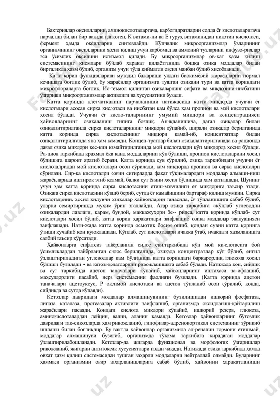 суякларининг деформацияси натижасида ҳам (рахит ва юқумли атрофик ринитда) бузилади. танглай шиллиқ пардаларининг шиши ёки истисқолари вақтида ҳам озиқани майдаланиши қийинлашади. ҳайвонлар чайновчи мускулларини тонуси ошганида озиқаларни чайнайолмайди. масалан: столбняк-қоқшол, отларнинг энцефаломиелит касалликлари даврида ва қутириш касалликла-ри туфайли озиқани оғизга олиш ва чайнаш бузилади. оғиз бўшлиғида, озиқани майдаланишида ва ютилишида сўлак без-ларидан ажраладиган сўлакнинг аҳамияти катта бўлиб, қўйлар бир кунда 6-8 литр, қорамолларда 50-60 литрни ташкил этади. сўлакнинг таркибида оқсиллар-ферментлар, хлоридлар, сульфатлар ва карбонатларнинг натрий-ли тузлари бўлади. сўлак ажралиши озиқанинг сифатига, сўлак безлари-нинг ва мнс сининг фаолиятига боғлиқ ҳолда ўзгаради. масалан: катта қориндаги босим ва кислоталикни интрорецепторларга таъсири сўлак аж-ралишини ўзгартиради. сўлак ажралиши кўпайиши ва камайиши мумкин. сўлак ажралишини кучли даражада кўпайишига гиперсоливация дейилиб, оғиз шиллиқ пардаларини яллиғланиши, жароҳати, кимёвий моддалар таъсирида юқумсиз ва юқумли касалликлардан яшур-оқсил ка-саллигида кузатилади. сўлак ажралиши нерв системасига боғлиқ равишда 6-8 марта кучаяди. сўлак ажралиши қутириш, ботулизм касалликларида кучаяди. сўлак ажралишини кучайиши ҳайвонларнинг бўғозлик даврлари-да …