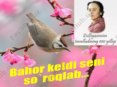 zulfiya isroilova haqida ma'lumot — PPTX