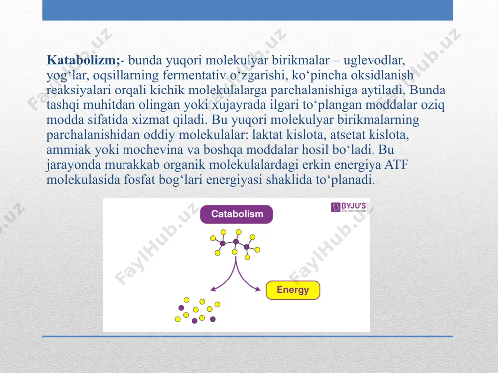 hnikov tomonidan berilgan. mikroblar antogonizmi g‘oyasi meditsinada keng qo‘llnilmoqda. rus olimi v.a.manassein 1871-1872 yillarda yashil zamburug‘lar penicillium ning shifobaxsh hususiyatlarini ta’riflagan. ajratib olingan va qo‘llaniladigan antibiotiklar soni nihoyat ko‘p. ularning faqat ma’lum konsentratsiyasi odam uchun zaharsiz. kimyoviy tarkibiga ko‘ra antibiotiklar turli kimyoviy birikmalarga kiradi. masalan, penitsillin mikroblarga qarshi yaxshi antibiotikdir. uning tuzilish strukturasi yaxshi o‘rganilgan. penitsilin mikrobi hujayra devorini hosil bo‘lishida ishtirok etuvchi fermentni neytrallashi natijasida mikrob nobud bo‘ladi. lekin, penitsilinning nihoyatda keng qo‘llanishi tabiatda unga bardosh bera oladigan mikroblarni keltirib chiqardi. bu mikroblar penitsilinga qarshi uni parchalovchi fermentlar hosil qilar ekanlar. bunday mikroblarga qarshi penitsilinning tarkibiga turli gruppalar kiritish yo‘li bilan uning hosilalari ishlab chiqildi. image2.png image3.png image4.png image5.png image6.png image7.png image8.png image9.png image10.png image11.png image12.png image13.png image14.png image15.png image16.png image17.png