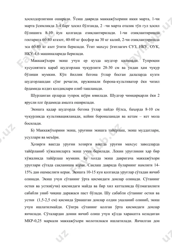 диган уруғни тозалиги 99-99,8%, униб чиқиш даражаси 85-95% бўлиши керак. маккажўхори бахорда тупроқ харорати 100 иссиқликка етганда экилади. бундан ташқари уни ёзда такрорий экин сифатида экиш мумкин. ўзбекистоннинг жанубий вилоятларида 15-20 мартларда, тошкент, самарқанд вилоятларида ҳамда фарғона водийсида 20-25 мартларда, хоразм вилояти ва қорақолпоғистон республикасида 10 апрелда экилади. умуман ҳар бир вилоят шароитида чигитни экиш бошлангунча маккажўхорини экишни тамомлаш керак. маккажўхори кечки муддатларда экилганда уни ҳосили анча пасаяди. маккажўхори кенг қаторлаб, қатор ораси 60,70,90 см қилиб экилиб, унинг навига қараб ҳар 15,20 см оралиқда биттадан ўсимлик қолдирилади. эртапишар нав ва дурагайлар экилганда бир гектар ерда 70-80 минг ўсимлик, ўртапишар нав ва дурагайлар экилганда эса бир гектар ерда 50-55 минг ўсимлик, кечпишарларда эса 40 минг ўсимлик қолдирилади. уруғнинг экиш меъёри 15-20 кг дан 25-30 кг бўлади. в) маккажўхори экинини парвариш қилиш. экинни парвариш қилиш тупроқ қатқолоғига қарши кураш, қатор ораларини ишлаш, яганалаш, озиқлантириш, суғориш ва уруғлик учун экилган майдонларда қўшимча чанглатишдан …