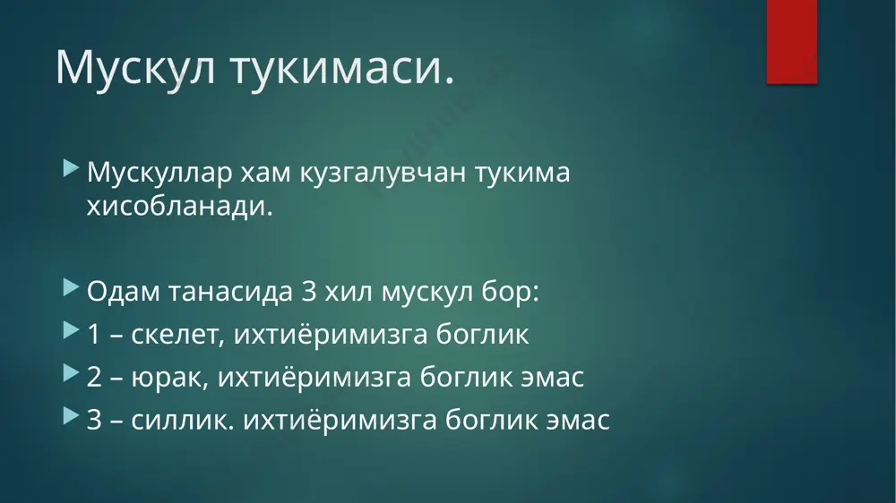 арини номлашда “сарко” кушиб айтилади. сарко – гушт дегани muskul hujayrasining sitoplazmasi - sarkoplazma endoplazmatik to‘r - sarkoplazmatik retikulum hujayra qobig‘i - sarkolemma muskul tolasi (yoki hujayrasi) ning o‘ziga xos jihati shundaki, uning tarkibida uzun tolasimon oqsillar mavjud. biz bularni miofibrillalar deb nomlaymiz. mio - muskul, fibrilla - tola. miofibrilla bitta oqsil emas, u ko‘plab tolasimon oqsillar kompleksining umumiy nomi. bulardan eng asosiylari aktin va miozin oqsillaridir. aynan shu oqsillarning o‘zaro tortishib, sirpanib harakat qilishi muskul tolasining qisqarishiga sabab bo‘ladi. muskul qo’zg’alishi va xarakati. muskulning qo‘zg‘alishi motoneyronlardan kelgan impuls ta'sirida sodir bo‘ladi. motoneyronlarning akson oxirlarigacha kelgan harakat potensiali atsetilxolin orqali muskulga uzatiladi. ya'ni muskul hujayrasidagi na kanallarini ochib yuboradi va hujayra ichiga musbat ionlar (na) kira boshlaydi. hujayra ichidagi zaryad bo‘sag‘a nuqtasiga yetgach voltaj darvozali na kanallari va undan keyin voltaj darvozali ca kanallari ochilib, hujayraga ca va na shiddat bilan kira boshlaydi muskul hujayrasida bo‘sag‘a nuqtasi -60 mv, tinchlik …