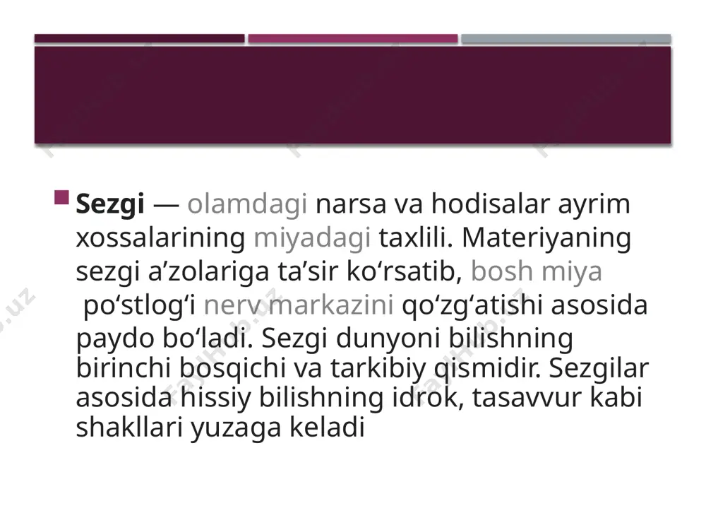 sezgi - Page 4
