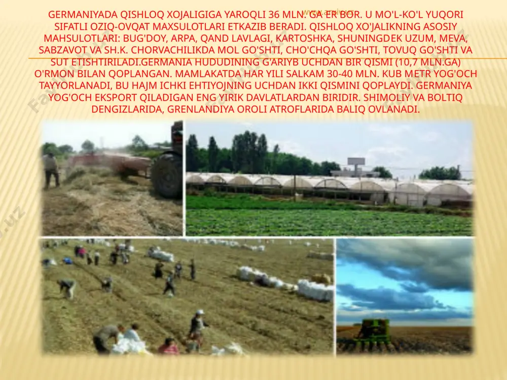 yetarli miqdorda bo‘lgan dengiz bo‘yi, alp va alpoldi tog‘li hududlaridagi yaylovlarga ega hududlarda sut-go‘sht mahsulotlari yetishtirish yaxshi yo‘lga qo‘yilgan. qish fasli ancha sovuq bo‘lgani sababli, mollar yopiq molxonalarda parvarishlanadi. alp o‘tloqzorlarida gfrdagi jami sigirlarning 35 foizi boqiladi. broyler parrandalar, tuxum, mol go‘shti, cho‘chqachilik mahsulotlari ishlab chiqarish asosan tabiiy omillarga uncha bog‘liq bo‘lmagan yirik chorvachilik xo‘jaliklarida jamlangan. chorvachilikning muhim yordamchi tarmog‘i o‘simlikshunoslik hisoblanadi. bavariya va dunay tekisligi bug‘doy yetishtirishga moslashgan. moyli ekinlardan rapsga alohida e’tibor qaratilib, u kungaboqarga nisbatan 10 baravar ortiq maydonda yetishtiriladi. qishloqlardagi fermerlar mamlakatning eng boy kishilari sanaladi. ular zamonaviy texnikalar yordamida har qarich yerdan unumli foydalanib, mo‘l hosil yetishtiradilar. bir so‘z bilan aytganda, bu davlatda har bir fermer mehnatsevarligi bilan ajralib turadi. o‘z tomorqasi va yashaydigan hovlisini havas qiladigan darajada go‘zal va ko‘rkam qilishga intiladi. www.arxiv.uz tuproq, suv, atrof-muhit turfa xil kimyoviy va maishiy chiqindilar bilan zaharlanayotgan, yetishtirilayotgan oziq-ovqat mahsulotlarining tarkibi o‘zgarib, insoniyat sog‘lig‘i xavf ostida qolayotgan …