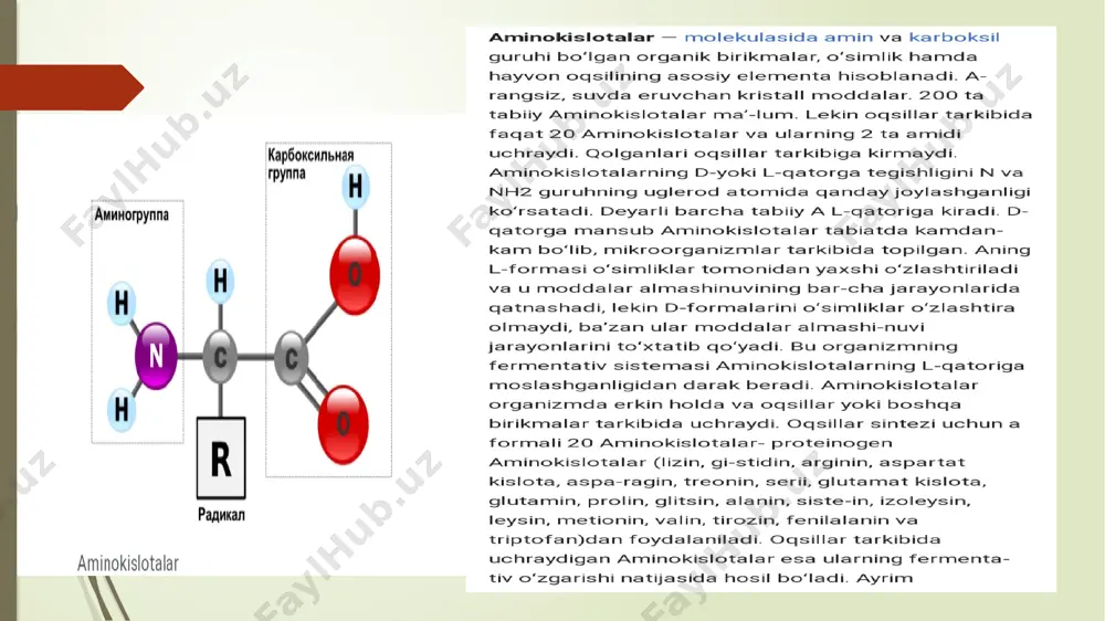 biotexnologiyada ishlatiladigan amminokislotalar - Page 2