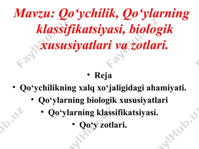 qo‘ychilik — PPTX