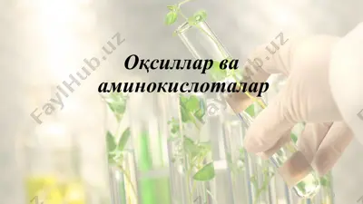 оқсиллар ва аминокислоталар — PPT