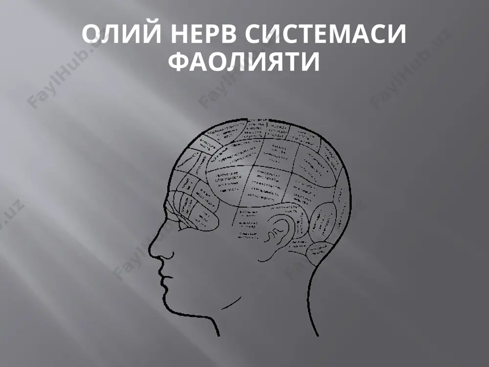 ферент нерв толалари ёки марказдан қочувчи нерв толалари деб номланади. нервларнинг кўпи аралаш типдаги нервлардир. уларнинг таркибида ҳам марказдан қочувчи, ҳам марказга интилувчи толалар мавжуд. нерв тизимини турли бўлимларга ажратиш шартлидир, чунки нерв тизими морфологик жиҳатдан бир бутун тузилма бўлиб, функционал жиҳатдан ҳам айрилмас ягона тизимдир. нерв тизими барча ҳайвонларда ва одам морфо-функционал бирлик – нейрон ҳамда ёрдамчи глия ҳужайраларининг йиғиндиси нерв тўқимасини ташкил қилади. олий нерв фаолияти ва унинг ёшга боғлиқ хусусиятлари. нерв тизимининг умумий фаолияти шартли равишда қуйи ва олий нерв фаолиятларига бўлиб ўрганилади. нерв тизимининг турли ички аъзолар ва скелет мускулларини уйғунлашган ҳолда ишлашини бошқариб турадиган функцияси қуйи нерв фаолияти дейилади. нерв тизимининг тез-тез ўзгариб турадиган, унинг ташқи шароитга мослашишини таъминлайдиган функцияси олий нерв фаолияти деб номланади. нерв тизимининг умумий фаолияти шартли равишда қуйи ва олий нерв фаолиятларига бўлиб ўрганилади олий нерв фаолияти одам ва ҳайвонлар ҳулқ-атворини, улардаги руҳий жараёнларни ва мияда, айниқса катта ярим шарларда, турли …