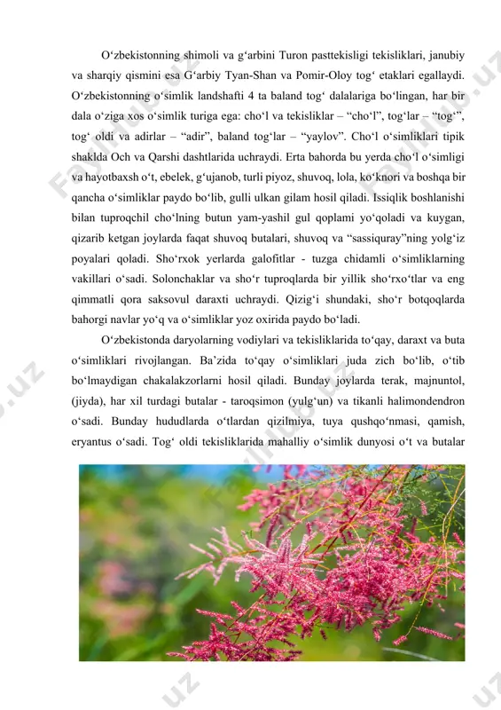 ylarda siz yong‘oq, qayin, terak, tol, tut va magaleb olchasini uchratishingiz mumkin. hisor tizmasi togʻ etaklarida subtropik daraxtlar: jig‘a, anor, anjir, xurmo... pastki togʻlardagi butalar orasida na’matak, zirk, jig‘a kabi turlari keng tarqalgan. uzum, rovoch, smorodina oʻsimliklari ham uchraydi. o‘zbekistonnning o‘simliklar olami 4786oʻzbekiston tabiati saxovatli va boy. ajoyib o‘simlik dunyosi buning yana bir tasdig‘idir. cho‘l va dashtlar, tog‘lar va pasttekisliklar, to‘qayzorlar va qamish o‘rmonlari go‘zal ko‘llar va daryolar bilan qo‘shilib, o‘zining hayratlanarli manzarasini namoyon qiladi. o‘zbekistonning o‘ta boy florasi manzarali o‘simliklardan tortib dorivor o‘simliklargacha bo‘lgan 4000 dan ortiq turli o‘simlik turlarini o‘z ichiga oladi. oʻsimlik dunyosining eng koʻp qismi respublikaning togʻ oldi va togʻli hududlarida oʻsadi. bunday boylikning asosiy sababi turli relyef zonalariga bo‘linishi bo‘lib, bu yerda har bir balandlik zonasi o‘ziga xos iqlimi va o‘ziga xos sharoiti, o‘ziga xos flora rivojlanishi uchun tuproq tarkibining xilma-xilligi bilan ifodalanadi. o‘zbekiston markaziy osiyoning markazida joylashgan bo‘lib, qurg‘oqchil zonaning bir qismidir. oʻzbekistonning shimoli …
