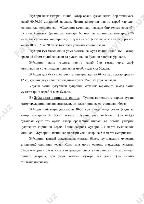 жўхорини етиштириш технологияси - Page 4