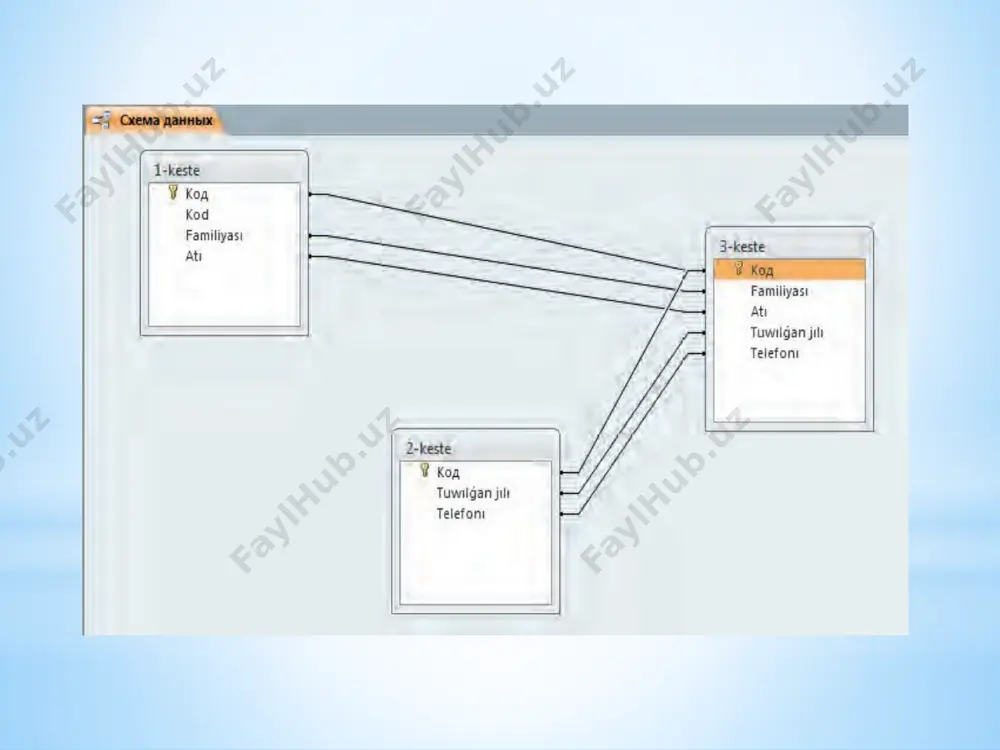 microsoft access 2010 - Page 4
