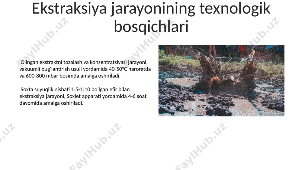 ildizli, efirli moyli xom ashyolarni ektraksiya qilish - Page 5