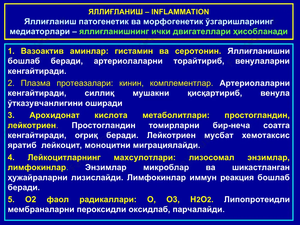 ларига айланади. пирогов-лангханс хужайралари – йирик хужайралар булиб, уларнинг улчамлари 40-50 мкм, ядроларининг сони 20 тагача, улар эксцентрик, такасимон жойлашиши билан характерланади. ёт таначалар гигант хужайраларида ядролар сони 30-100 тагача булиб, асосан хужайра марказида жойлашиши билан фаркланади. бу икки тип хужайраларда лизосомалар йуклиги учун, уларда фагоцитоз эндоцитобиоз билан намоён булади, яъни, бу хужайрала инфектни камраб олади, лекин уни эритиб юбора олмайди. бу хужайралар, шунингдек секретор функцияга хам эга эмас. пролифератив (продуктив) яллиғланиш турлари гранулемаларнинг морфогенези куйидаги 4-боскичдан иборат: 1) тўқималарнинг шикастланган сохасида ёш моноцитларни тўпланиши; 2) бу хужайраларни макрофагларгача етилиши ва макрофагал гранулемани хосил булиши; 3) моноцитар фагоцитлар ва макрофагларни эпителиоид хужайраларга трансформацияси ва эпителиоид хужайрали гранулемани шаклланиши; 4) эпителиоид хужайраларни гигант пирогов-лангханс ёки гигант ёт таначалар хужайраларига трансформацияси ва гигант хужайрали гранулемани хосил булиши. пролифератив яллиғланишда иштирок этадиган ҳужайралар лимфоцит плазмоцит гистиоцит фиброцит эпителиоид ҳ томир эндотелийси кўпайиши пирагов-ланганс гигант ҳужайраси ёт таначи гигант ҳужайраси * интерстициал яллиғланиш интерстициал …