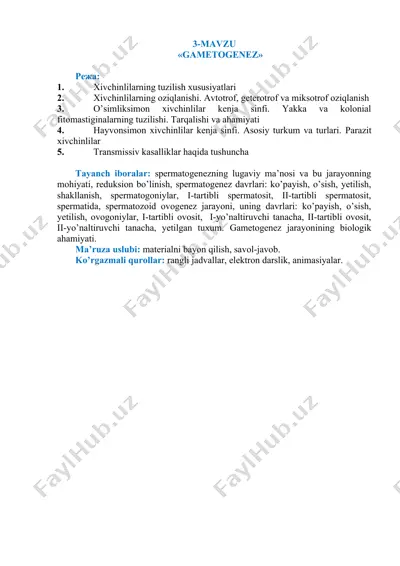 spermatogenez — DOC