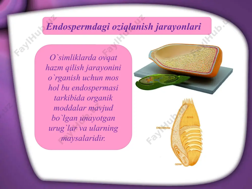 hashorotxo`r o`simliklarning oziqlanishi - Page 5