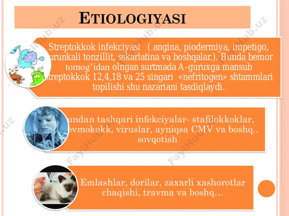 glomerulonefrit kasalligi - Page 4