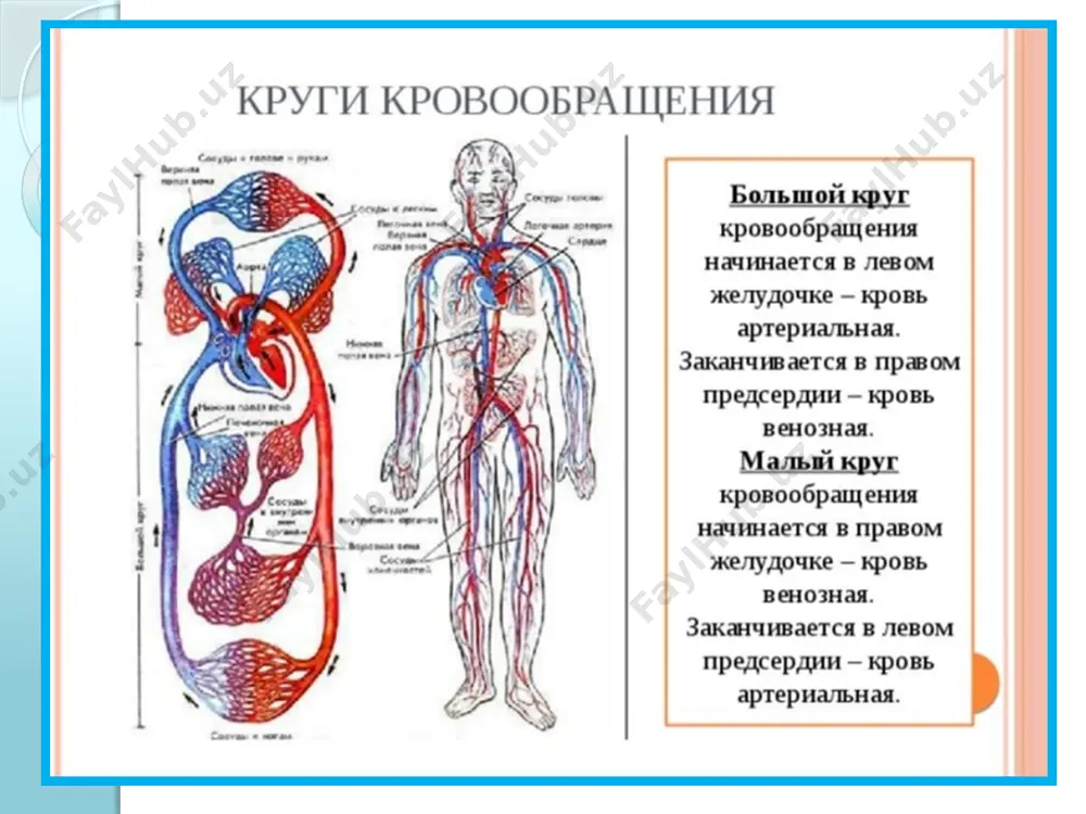 . (компоненты) полный и неполный состав что? (предмет) содержит что? в.п. (компоненты) что? (предмет) включает что? (компоненты) что? (компоненты) входит в состав чего? (предмет) теоретическая часть наличие компонента что? (предмет) имеет что? в.п. (компонент) в чём? (предмет) есть что? и.п. (компонент) отсутствие компонента что? (предмет) не имеет чего? (компонент) в чём? (предмет) нет чего? (компонент) в чём? (предмет) отсутствует что? ип. (компонент) что? (предмет) лишено чего? (компонент) описание количественного состава запомните! дробные числительные а. что означает число: 1,1 - одна целая единица, одна десятая доля / часть единицы 2,2 - две целых единицы, две десятых доли / части единицы 3,3 - три целых единицы, три десятых доли / части единицы 0,6 - ноль целых единиц, шесть десятых доли / части единицы и т.д. 1,01- одна целая единица, одна сотая доля / часть единицы 2,02- две целых единицы, две сотых доли / части единицы 2,25 - две целых единицы, двадцать пять …