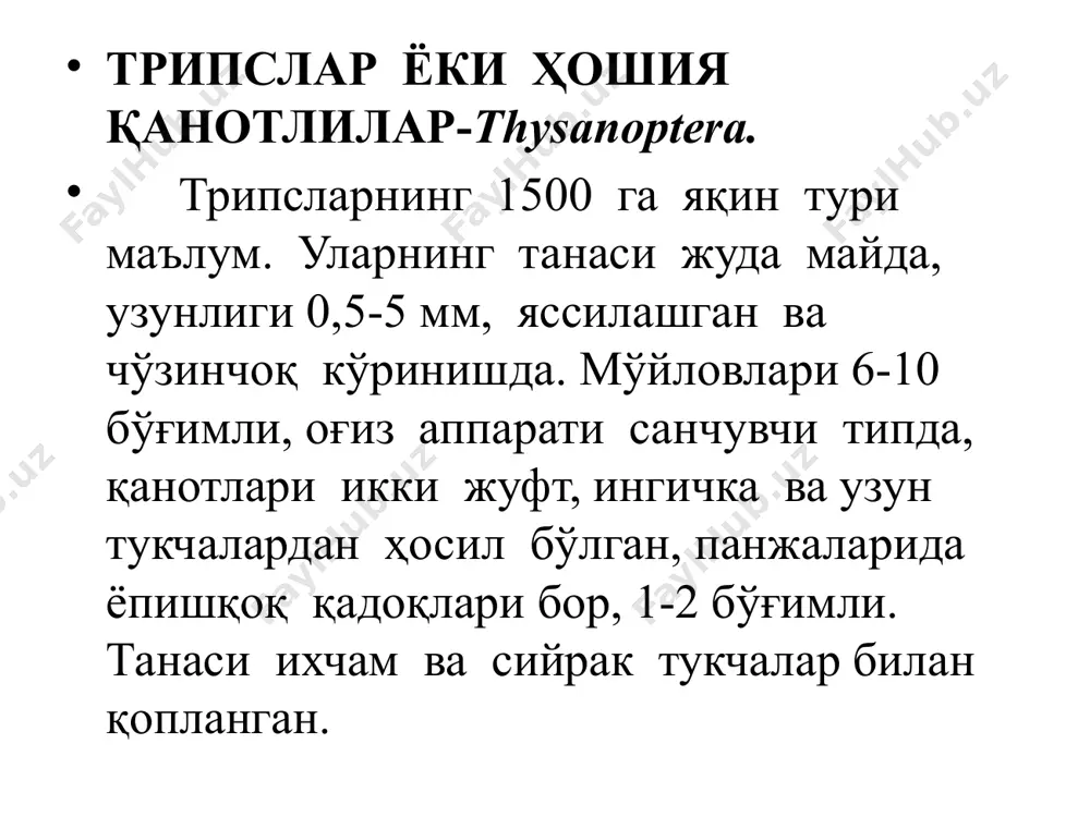 трипслар туркуми вакиллари - Page 3