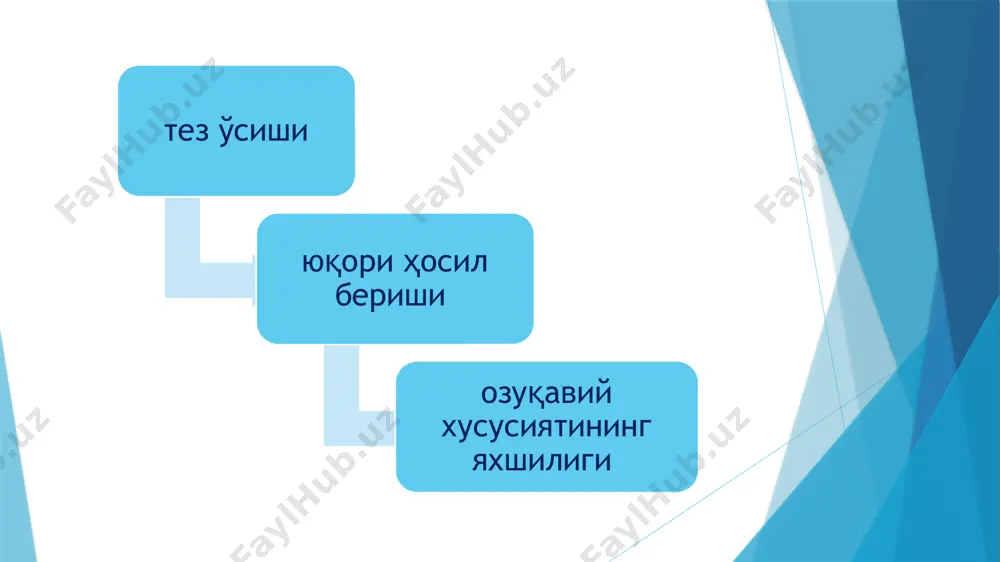 казилади? ўзбекистонда оқава сувларни тозалашда қандай сув ўтларидан фойдаланилмоқда? image1.jpeg image2.jpeg image3.jpeg image4.jpeg image5.jpeg image6.jpeg
