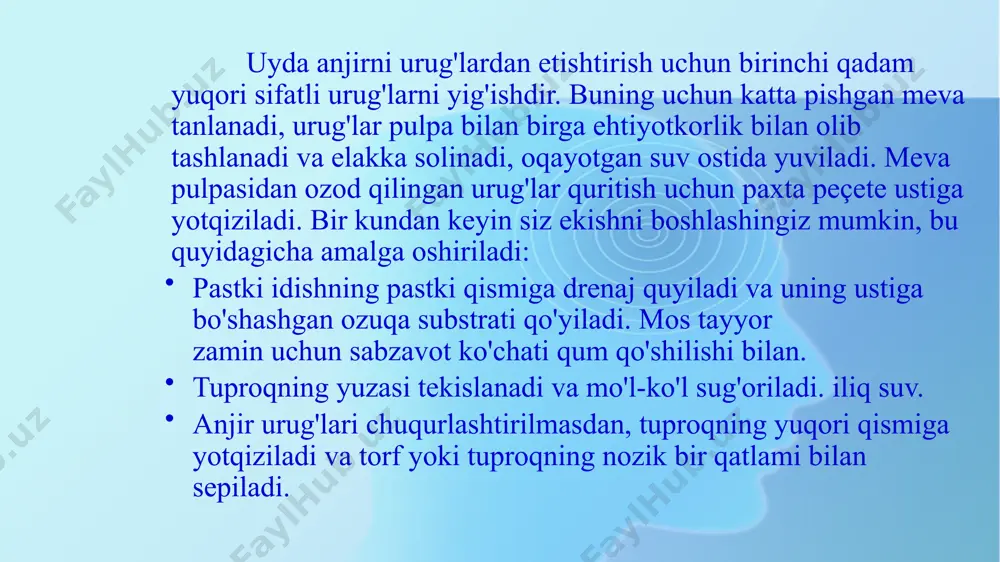 chuqurning o'zi g'isht bilan qoplangan. drenaj qilish uchun ezilgan g'isht pastki qismga kamida 20 dan 30 sm gacha bo'lgan qatlam bilan quyiladi. o'rta kengliklarning iqlim sharoitida qo'nish jarayonida xandaq ustunlik qiladi. bu bir qator qoidalarga rioya qilishni talab qiladi. anjir daraxti deb ham ataladigan anjir tut oilasining ficus jinsiga kiradi. bu subtropik buta bo'lishiga qaramay, u sovuq kengliklarda ham muvaffaqiyatli o'sadi - sharqiy, o'rta va g'arbiy yevropa. anjirlarga chidamli past haroratlar, uning ba'zi turlari -20 ° c gacha sovuqqa bardosh beradi. bu hosil nafaqat ochiq erga, balki uyda ham o'stiriladi. gullar barglarning axillarida joylashgan generativ kurtaklar nishlarida rivojlanadi. bu faqat tegishli ayol o'simliklari. muayyan vaqt o'tgach, gullar ko'chatlar bilan almashtiriladi. rivojlanayotganda ularning kattaligi oshadi va shakli nok shaklini oladi. urug'lar ko'chatlar ichida joylashgan. anjirning ko'p navlarini yiliga ikki marta yig'ib olish mumkin. breba (birinchi hosil) yozning boshida pishadi. ikkinchi meva berish kuzning birinchi yarmida boshlanadi. anjirni parvarish qilish yaxshi hosil …