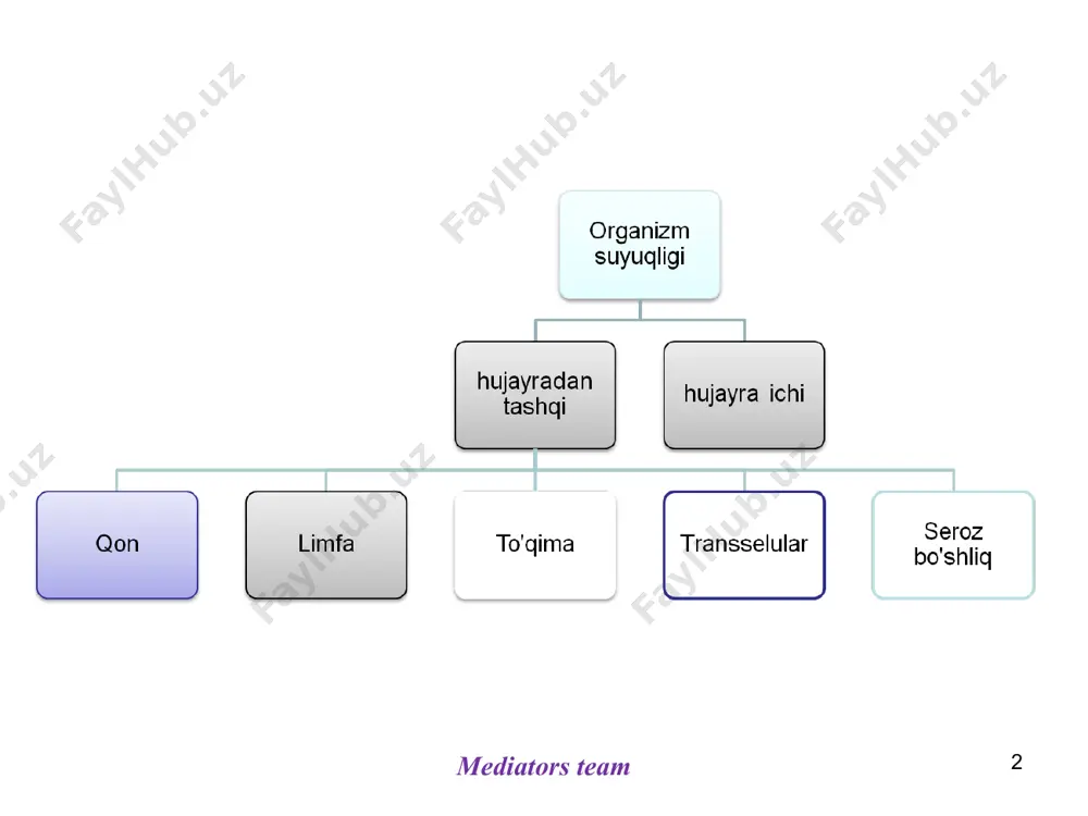 smini tashkil qiladi. normal qiymati 6,4-8,3gr/dl. bu oqsillar asosan albuminlar, globulinlar, fibrinogenlar va boshqalardan tuzilgan. plazmaning boshqa organik moddalari : 1. karbogidratlar, asosan, glukoza (80-120mg/dl yoki 4,46-6,66mmol/l) 2. yog'lar a) neytral yog'lar 30-150mg/dl b) fosfolipid 150-300mg/dl c) xolesterol 150-240mg/dl plazmaning azot saqlovchi moddalari (28-40mg/dl): ammiak, aminokislata, kreatin (1-2mg/dl), kreatinin (0,6-1,2mg/dl) ksantin, gipoksantin, mochevina (20-40mg/dl) va siydik kislata (2-4mg/dl) mediators team * mediators team plasma serum clotting proteins (fibrin) -- ii, v va viii plazma oqsillari albuminlar 4,8g/dl (3-5gr/dl) globulinlar 2,3gr/dl (2-3gr/dl) alfa 1 (α1) globulin alfa 2 (α2) globulin betta (β) globulin gamma (γ) globulin fibrinogen 0,3gr/dl mediators team * mediators team globulinlar quyidagilar tarkibiga kiradi glikoproteid (???) lipoproteid (yzl, pzl, jpzl, xm) transferrin (???) gaptoglobin (???) oʻtkir fazali oqsil seruloplazmin (???) ++wilson k-gi fetuin (oʻsish oqsili) (chaqaloqlarda albumindan koʻproq!) immunoglobulin ... * mediators team plazmaning koʻpgina immunoglabulinlari γ (gamma) glabulinlar guruhiga kiradi va antitanachalar boʻlib xizmat qiladi. eng koʻp …
