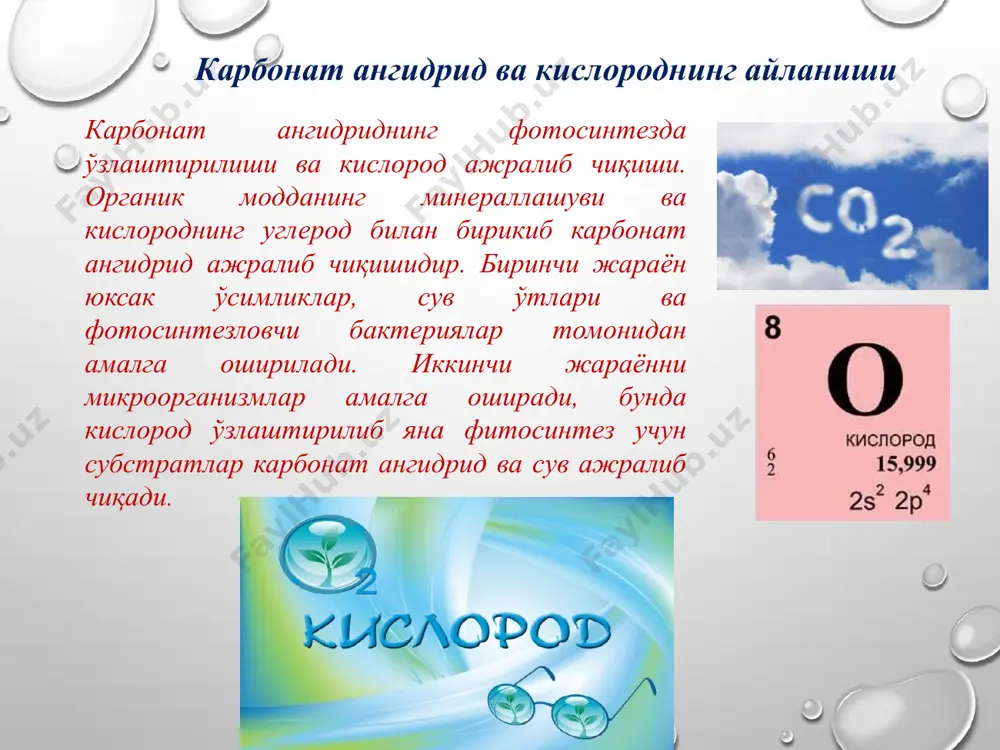 углеродни табиатда алмашинишида микроорганизмларнинг роли - Page 4