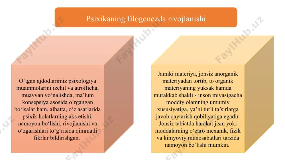 umumiy psixologiya - Page 3