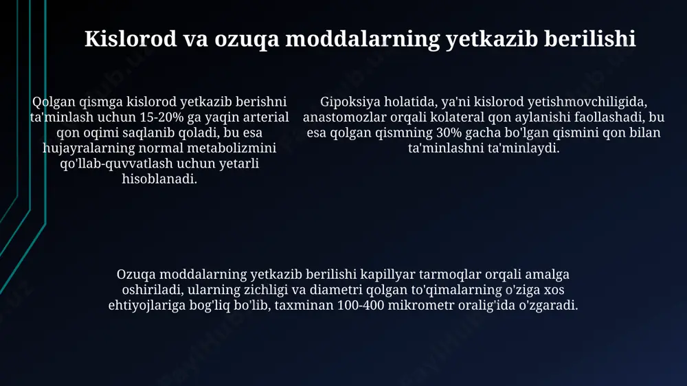qoldi qon ta'minlanishi haqida taqdimot - Page 5