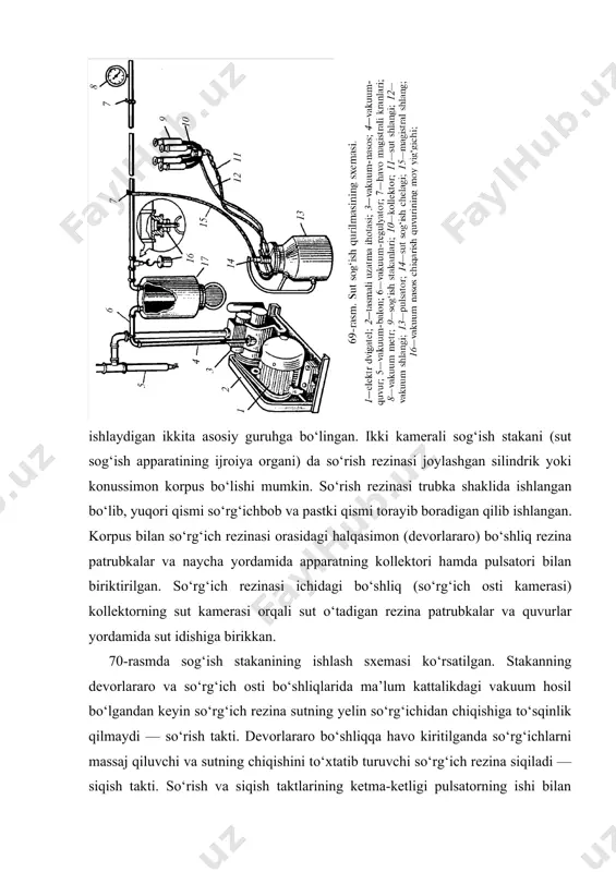 aydi. sut sog‘ishda shunday payt keladiki, bunda sutning sut bazlaridan elin sisternalariga kelishi, sutning apparat bilan chiqarilishidan kam bo‘ladi. bunda yelinning tez sutdan bo‘shatilishi va quruq elinni sog‘ishga o‘tish xavfi vujudga keladi, oqibatda sigir mastit kasalligi bilan kasallanishi mumkin. sut berish to‘xtagandan so‘ng sut sisternalari bo‘shlig‘iga vakuum kirmasligi uchun elinlaridan sut sog‘ish stakanlarini tezda olish kerak, aks holda vakuum sut bezlaridagi qon tomirlarining yorilishiga va qon sog‘ishni vujudga kelishiga, natijada sigirning kasallanishiga sabab bo‘lishi mumkin. bunday xavfning 70- rasm. ikki kamerali sog‘ish stakanlarining ishlash sxemasi va tuzilishi: a— ikki taktli sog‘ish; b— uch taktli sog‘ish; — 1 so‘rg‘ich rezina; 2 —stakan korpusi; 3 —halqasi; 4 —shaffor qarash patrubogi konus); ( 5 —biriktirish halqasi; 6 —rezina sut patrubogi; 7 —rezina m a nje t a. oldini olish uchun ikki taktli apparatning ish sikliga uchinchi takt-dam olish takti kiritilgan. bunda siqish taktidan so‘ng sut sog‘ish stakanlarining so‘rg‘ich osti bo‘shliqlariga atmosfera havosi kiritiladi …