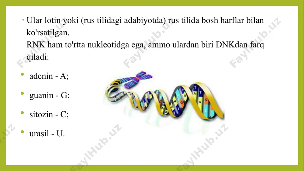 shunday qilib, 64 ta nukleotid birikmasini hosil qilish mumkin. 2. genetik kodning ortiqchaligi bu xususiyat bitta aminokislotani shifrlash uchun bir nechta kodonlar kerak bo'lganda kuzatiladi, odatda 2-6 oralig'ida. va faqat triptofan bitta triplet bilan kodlanishi mumkin. 3. o‘ziga xoslik u sog'lom gen merosining ko'rsatkichi sifatida genetik kodning xususiyatlariga kiritilgan. misol uchun, zanjirda oltinchi o'rinda joylashgan gaa tripleti shifokorlarga qonning yaxshi holati, normal gemoglobin haqida aytib berishi mumkin. aynan u gemoglobin haqida ma'lumotni olib yuradi va u ham uni kodlaydi.va agar odam kamqonlik bilan kasallangan bo'lsa, nukleotidlardan biri kodning boshqa harfi - u bilan almashtiriladi, bu kasallikning signalidir. 4.davomiylik genetik kodning bu xususiyatini yozishda shuni esda tutish kerakki, kodonlar zanjir bog'lari kabi masofada emas, balki to'g'ridan-to'g'ri yaqinlikda, nuklein kislotalar zanjirida birin-ketin joylashgan va bu zanjir uzilmaydi - u mavjud boshlanishi yoki oxiri yo'q. 5.ko'p qirralilik erdagi hamma narsa umumiy genetik kod bilan birlashtirilganligini hech qachon unutmaslik kerak. va shuning uchun primatda …