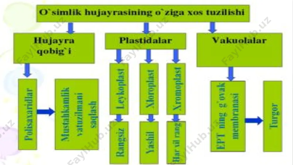 am ushlaydi. ular sariqdan qizil va jigarranggacha bo’yaladi. bundan tashqari, fikofibilinlardan fikotsianin va fikoeritrinlar bo’ladi, ular qizil va ko’k-yashil suvo’tlarida uchraydi. xloroplastlar sitoplazma ichida doim harakatlanadi. yorug’lik ta’ sirida ular hujayra ichidagi o’rnini o’zgartirishi mumkin. kuchli yorug’lik xloroplastlarda manfiy fototaksis qo’zg’atib, ular hujayraning yon devoriga to’planadi va o’zlarining o’tkir qirralarini yorug’lik manbaiga qaratadi. kuchsiz yorug’lik xloroplastlarda musbat fototaksis qo’zg’atib, ular hujayraning yorug’lik manbaiga nisbatan perpendikular joylashgan devoriga to’planadi va o’zlarining keng sathini nurga toblaydi. xromoplastlar. xromoplastlar o'simlikning vegetativ organlari, gullari va meva hujayralarida uchraydi va shu organlarga tegishli rang berib turadi. xromoplastlarning sariq, jigarrang, to’q sariq, qo’ng’ir-qizil rangda bo’lishi ularning stomasida xilma-xil karotinoidlarning mavjudligidandir. karotinoidlar deb ataluvchi pigmentlardan karotin, ksantofil, lapksantinlarni ko’rsatish mumkin. hozir fanga karotinoidlarning 58 turi ma’ lum.qizil sabzining har 100 g ho’l ildizmevasida 5.4-19.8 gacha karotinoid va oz miqdorda likopin bo’ladi xromoplastlar odatda, xloroplastlarning o’zgarishidan, qarishidan hosil bo’ladi. lekin ko’p mevalarning ko’k, to’q qizil, pushti rangda bo’lishi …