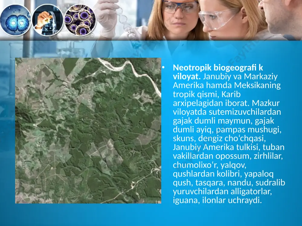 evolutsiyani isbotlashda biogeografiya fani dalillari. 10 - sinf - Page 5