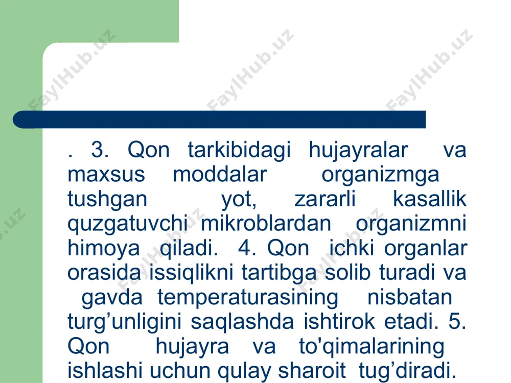 qon aylanish sistemasining tuzilishi va yoshga bog'liq xususiyatlari - Page 5