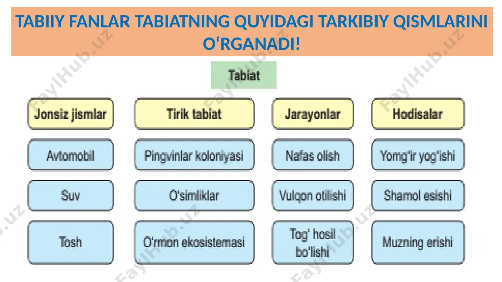 tabiiy fan - Page 3