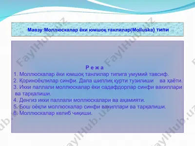 моллюскалар ёки юмшоқ танлилар(molluskа) типи — ZIP