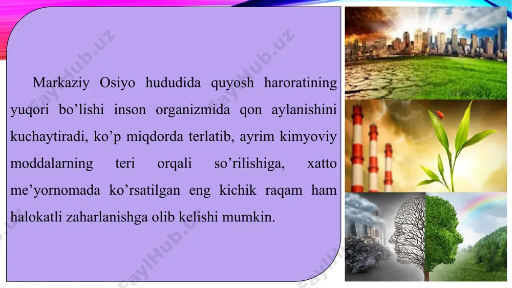 atbaho mahsulotlarni ishlab chiqarish va sotishdan keladigan foyda o’zbekiston xazinasiga tushmas edi. hududimizda yuz bera boshlagan ekologik inqiroz nihoyatda keskinlashib ketib, ijtimoiy tus ola boshladi. ekologik tanazzuldan esa keng jamoatchilik tashvishga tushishi tabiiy hol,albatta. odamlar qanday xavf qarshisida turganliklarini, atrof-muhitga yetkazilayotgan zarar qanday ko’rgiliklarga olib kelganligini yaqqol his etdilar.