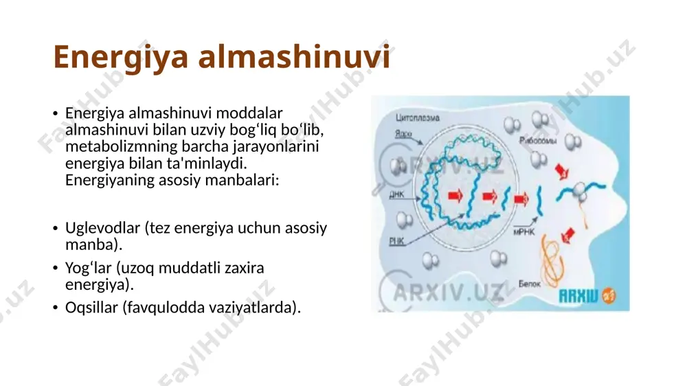 moddalar almashinuvi - Page 4