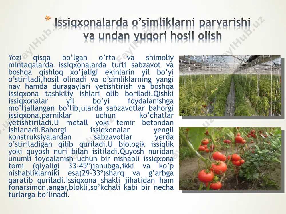 alashmalar maxsus rezervuarlarda tayyorlanadi. rezervuarda oziq aralashmalarga avtomatik ravishda kerakli miqdorda suv quyiladi, ma’lum darajadagi harorat va tegishli ph ushlab turiladi.