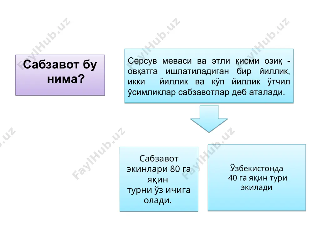 артошка 3. саримсоқ 4. лавлаги 5. хрен 6. шолғом 7. батат 8. пиёз озиқ-овқат сифатида истеъмол қилинадиган қисмлари (органлари)га қараб сабзавотлар қуйидагиларга бўлинади: мевалилар-помидор, қалампир, қовун, тарвуз, ошқовоқ, физалис. думбул мевалилар-бақлажон, бодринг, қовоқча, патиссон, ловия, дуккаклар, ширин маккажўхори, ширин қалампир, бамия. баргли ва поябаргли-карамбоши ва барг карам, салат, кресс-салат, исмалоқ, шовул, ровоч, петрушка ва селдерей, манголд, хантал, кўп-йиллик пиёз, пиёзлилар-бош пиёз, саримсоқпиёз, илдизмевалилар-сабзи, лавлаги, брюква, шолғом, турп, редиска, пастернак, селдерей ва петрушка, илдизпояли-ерқалампир, қатрон. туганак-мевали картошка, батат, поямевали-колраби, тўпгулли-артишок, гулкарам, новдали-спаржа, қўзиқорин-шампинон. мавзу: кириш. сабзавотчилик фани хусусиятлари, ривожланиши ва биологик асослари.