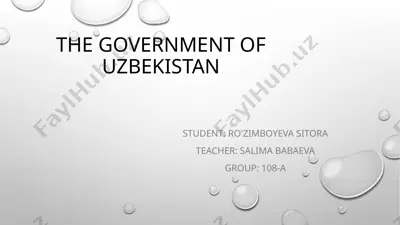 the government of uzbekistan — PPTX