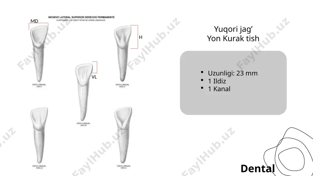dental student - Page 3