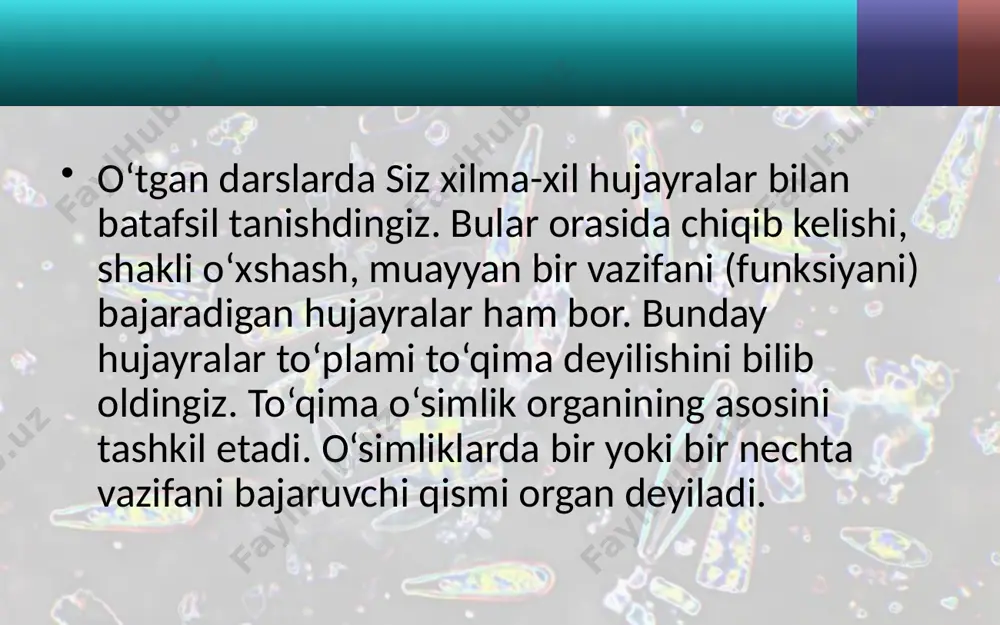 rofill donachalaridan iborat. shuning uchun ham bu to‘qimalar xlorofi lli parenxima yoki xlorenximalar deb ham yuritiladi. xlorenxima yunoncha xloros – yashil, enxima – to‘ldirilgan degan ma’noni bildiradi. ular yashil barg, yashil novdalarda epiderma hujayralari ostida joylashgan. g‘amlovchi to‘qima. bu to‘qimada fotosintez jarayonida hosil bo‘lgan oziq moddalar, kraxmal, oqsil, karbon suvlar, vitaminlar, yog‘lar to‘planadi va uzoq muddat saqlanadi. ular o‘simlikning deyarli barcha organlarida bo‘ladi. jumladan, urug‘larda to‘planib, murtak rivojlanishi uchun sarfl anadi. cho‘ldagi ba’zi o‘simliklarda, masalan, sarsazan, buzoq- bosh, qizil sho‘ra, baliqko‘z va boshqalarda shiraga boy hujayralar bo‘lib, ularda asosan suv saqlanadi. suv saqlovchi hujayralar o‘simliklarning barg va novdalarida bo‘ladi. zarurat bo‘lganda o‘simlik shu suvdan foydalanadi. qoplovchi to‘qimaning chiqib kelishi o‘simliklarni suvli muhitdan quruqlikka moslashishidan boshlangan. qop lovchi to‘qima organlarni qurib qolishdan va tashqi muhitning noqulay sharoitlaridan, mexanik shikastlanishlardan himoya qiladi. bular ham ontogenez davrida meristema to‘qimadan vujudga keladi. bu to‘qima 3 ga bo‘linadi: epiderma, periderma va po‘stloq. epiderma gazlar almashinishida, …