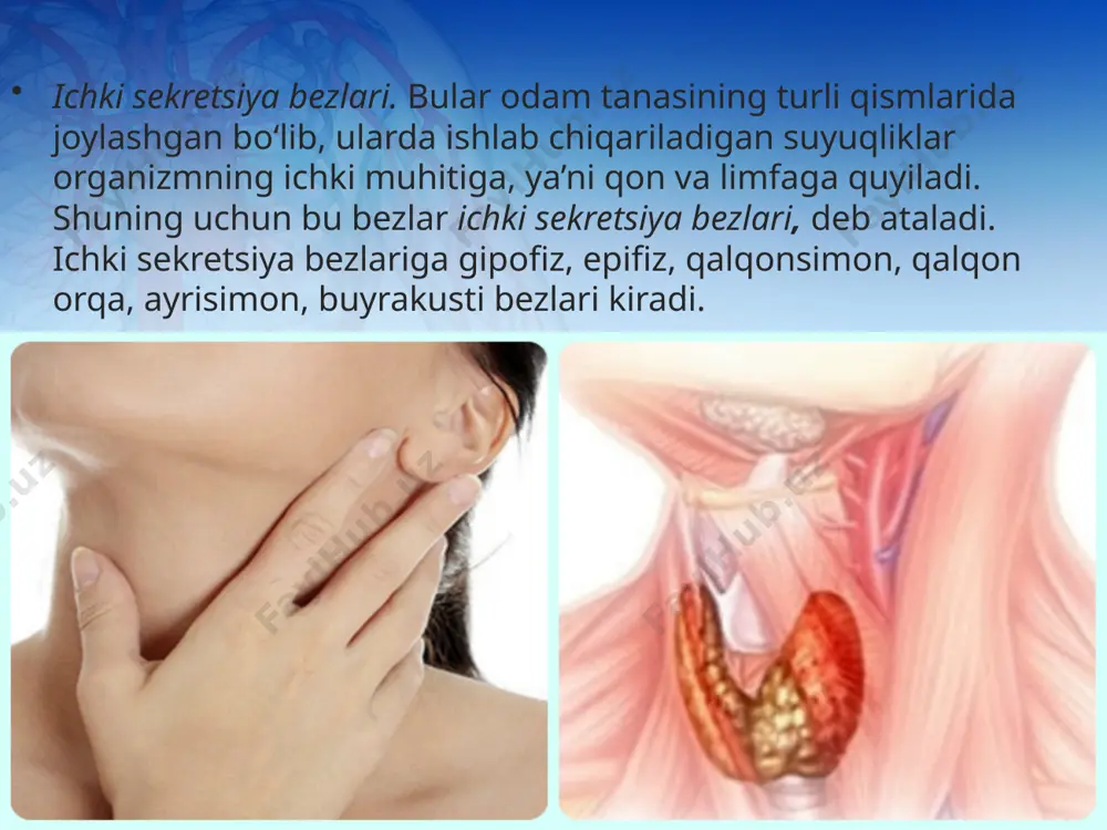 ichki sekretsiya bezlari haqida umumiy tushuncha. 8 - sinf - Page 4