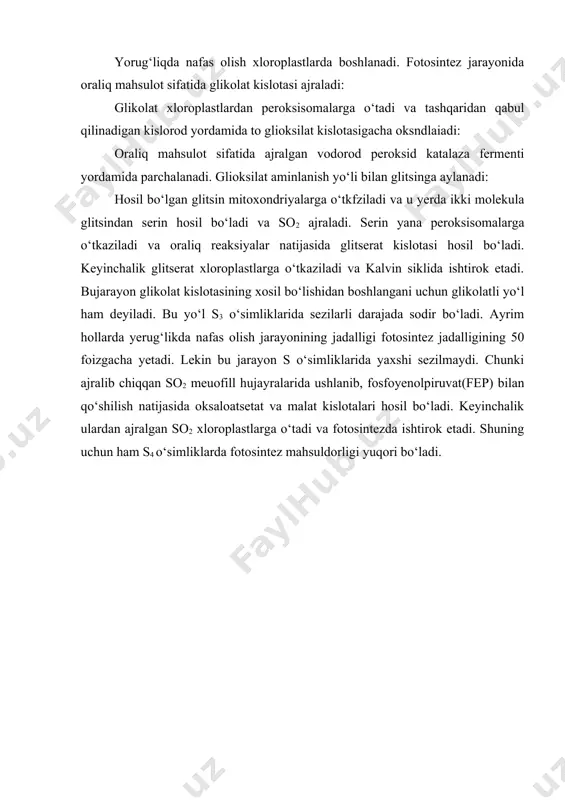 n tubdan farq qiladi. yorug‘likda nafas olish jarayonida uchta organoid: xloroplastlar, peroksisomalar va mitoxondriyalar ishtirok etadilar (35-chizma). yorug‘liqda nafas olish xloroplastlarda boshlanadi. fotosintez jarayonida oraliq mahsulot sifatida glikolat kislotasi ajraladi: glikolat xloroplastlardan peroksisomalarga о‘tadi va tashqaridan qabul qilinadigan kislorod yordamida to glioksilat kislotasigacha oksndlaiadi: oraliq mahsulot sifatida ajralgan vodorod peroksid katalaza fermenti yordamida parchalanadi. glioksilat aminlanish yо‘li bilan glitsinga aylanadi: hosil bо‘lgan glitsin mitoxondriyalarga о‘tkfziladi va u yerda ikki molekula glitsindan serin hosil bо‘ladi va so2 ajraladi. serin yana peroksisomalarga о‘tkaziladi va oraliq reaksiyalar natijasida glitserat kislotasi hosil bо‘ladi. keyinchalik glitserat xloroplastlarga о‘tkaziladi va kalvin siklida ishtirok etadi. bujarayon glikolat kislotasining xosil bо‘lishidan boshlangani uchun glikolatli yо‘l ham deyiladi. bu yо‘l s3 о‘simliklarida sezilarli darajada sodir bо‘ladi. ayrim hollarda yerug‘likda nafas olish jarayonining jadalligi fotosintez jadalligining 50 foizgacha yetadi. lekin bu jarayon s о‘simliklarida yaxshi sezilmaydi. chunki ajralib chiqqan so2 meuofill hujayralarida ushlanib, fosfoyenolpiruvat(fep) bilan qо‘shilish natijasida oksaloatsetat va malat …