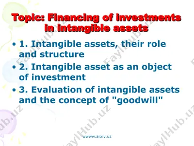 financing of investments in intangible assets — PPT